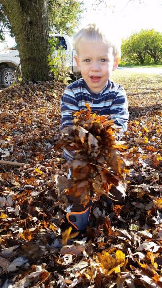 picking up fallen leaves is a big job